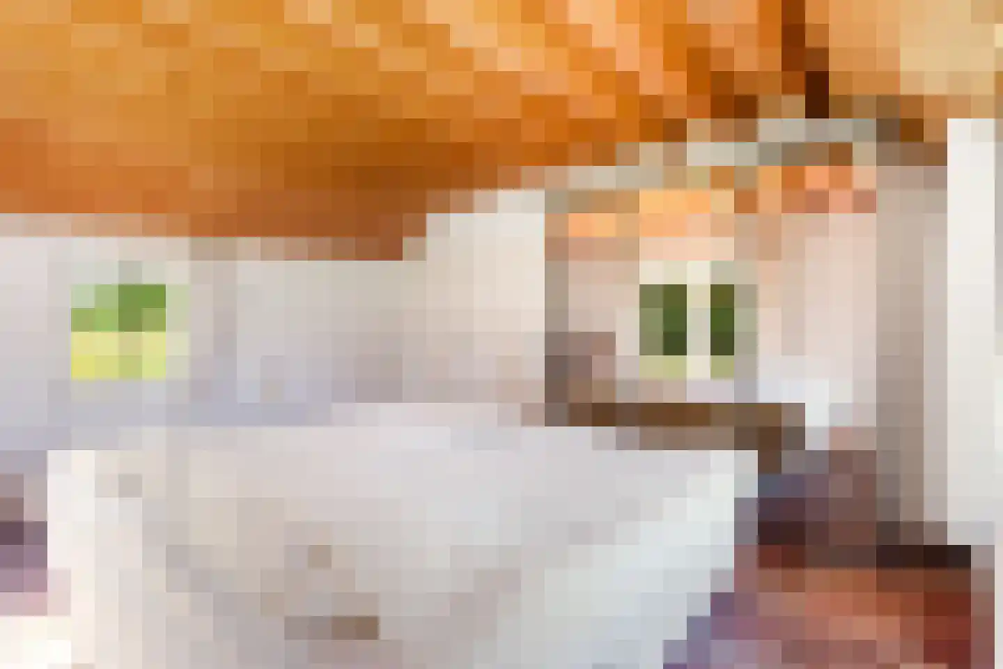 Fokko Kortlanglaan 121 Harderwijk thumbnail 27