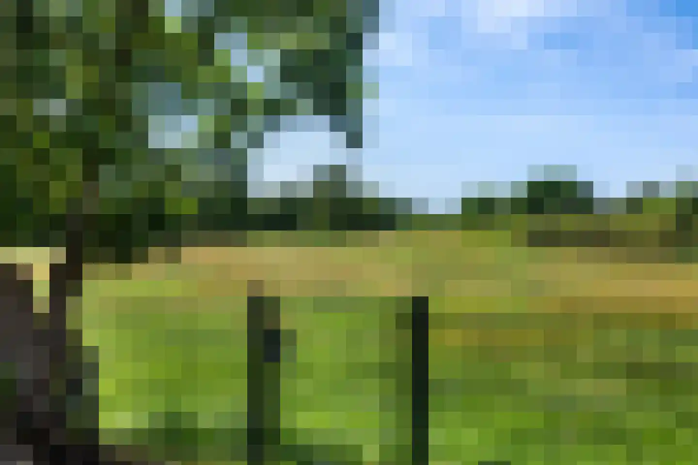 Fokko Kortlanglaan 121 Harderwijk thumbnail 4