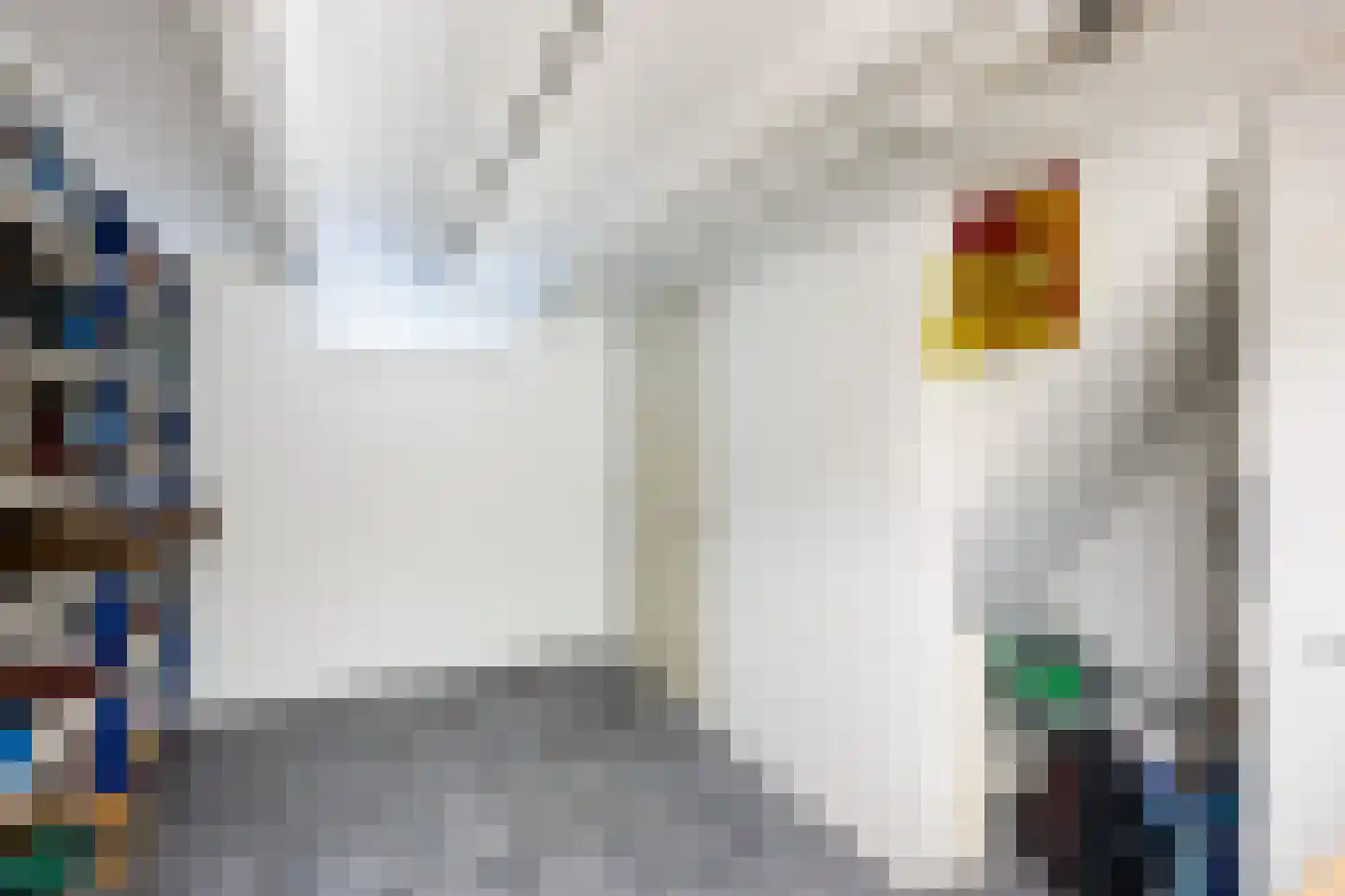 Fokko Kortlanglaan 121 Harderwijk thumbnail 45