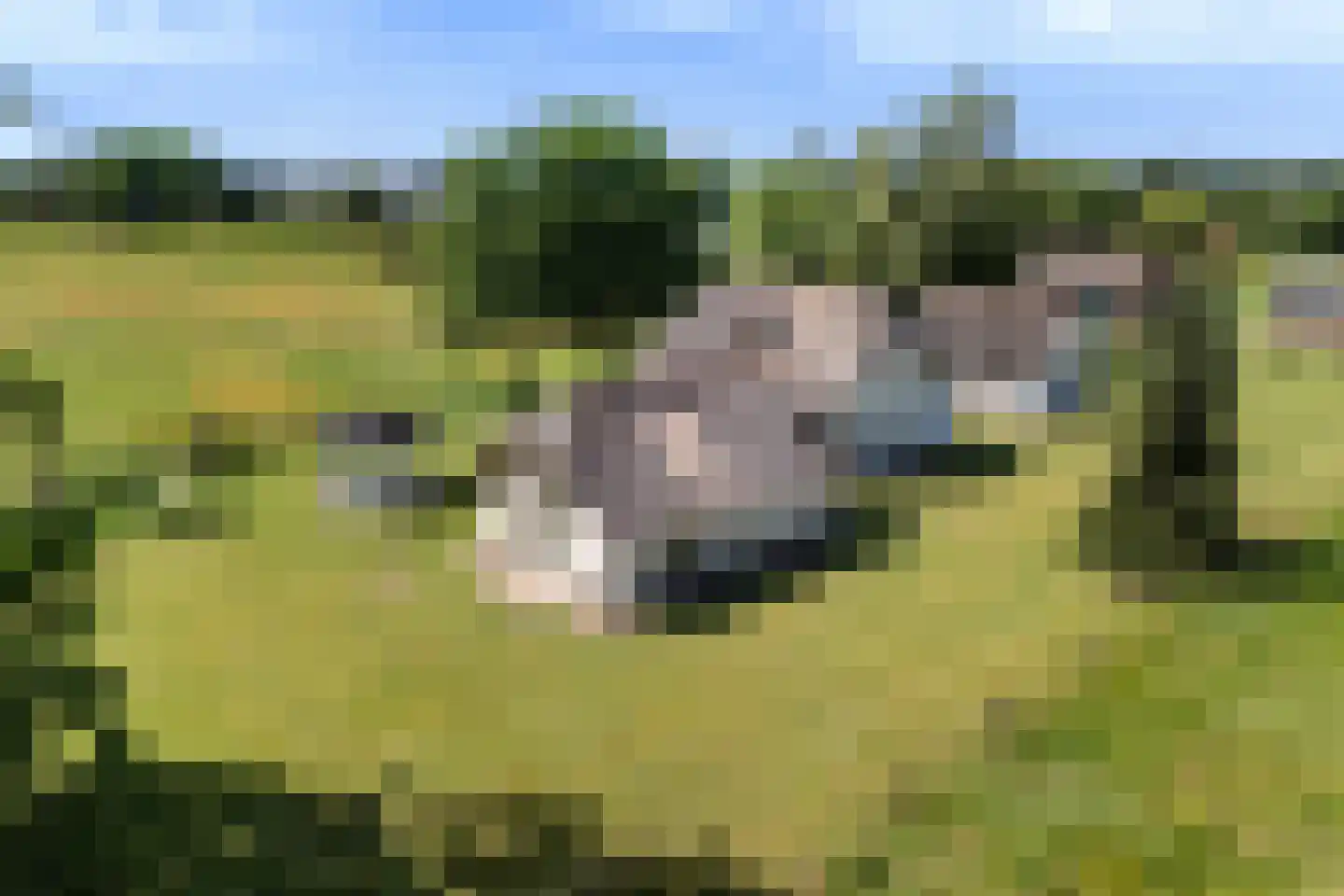 Fokko Kortlanglaan 121 Harderwijk thumbnail 55