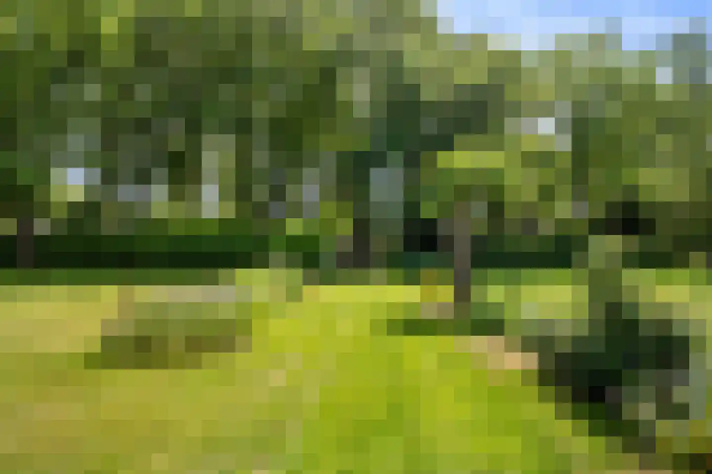 Fokko Kortlanglaan 121 Harderwijk thumbnail 6