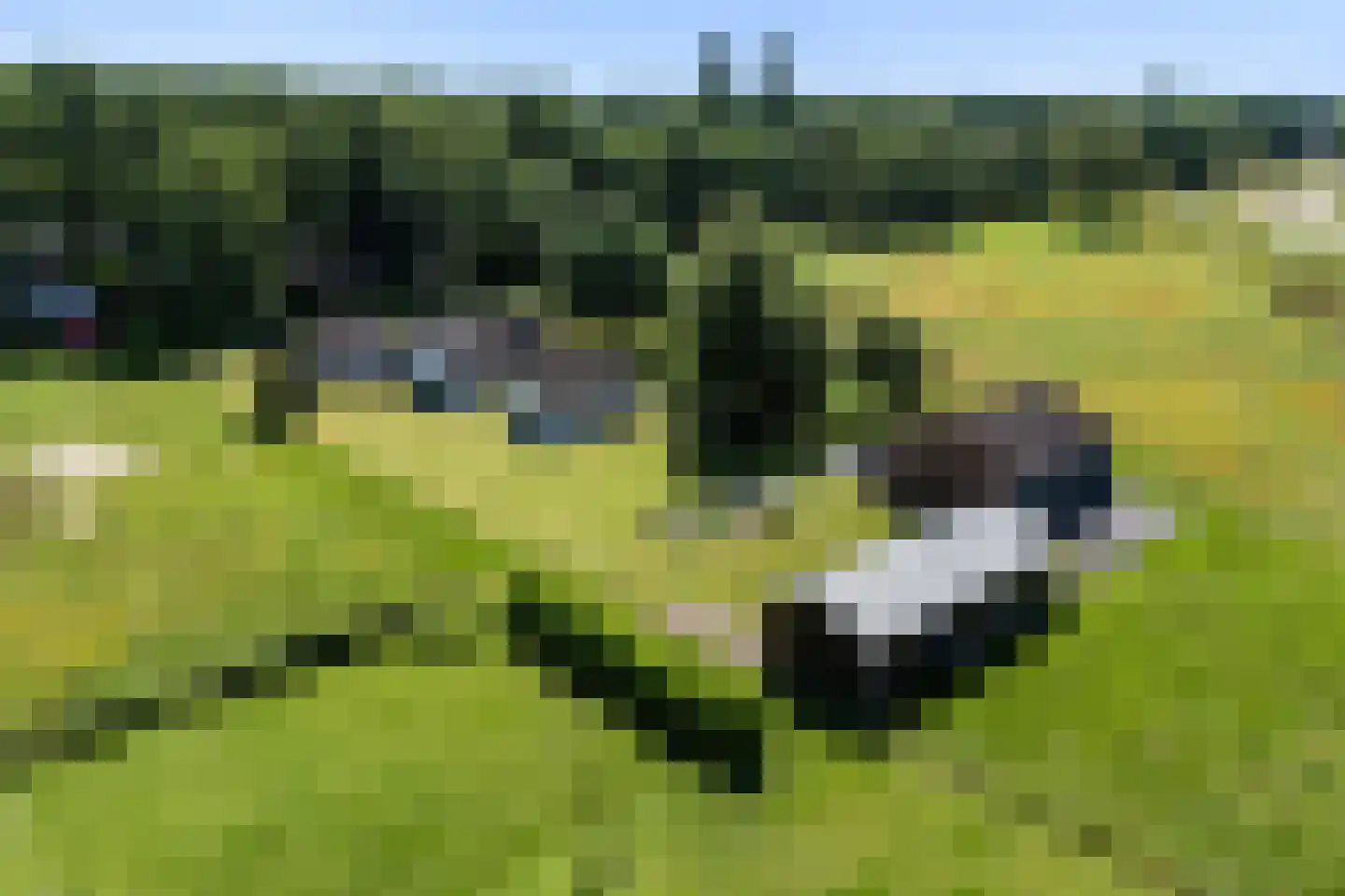 Fokko Kortlanglaan 121 Harderwijk thumbnail 60
