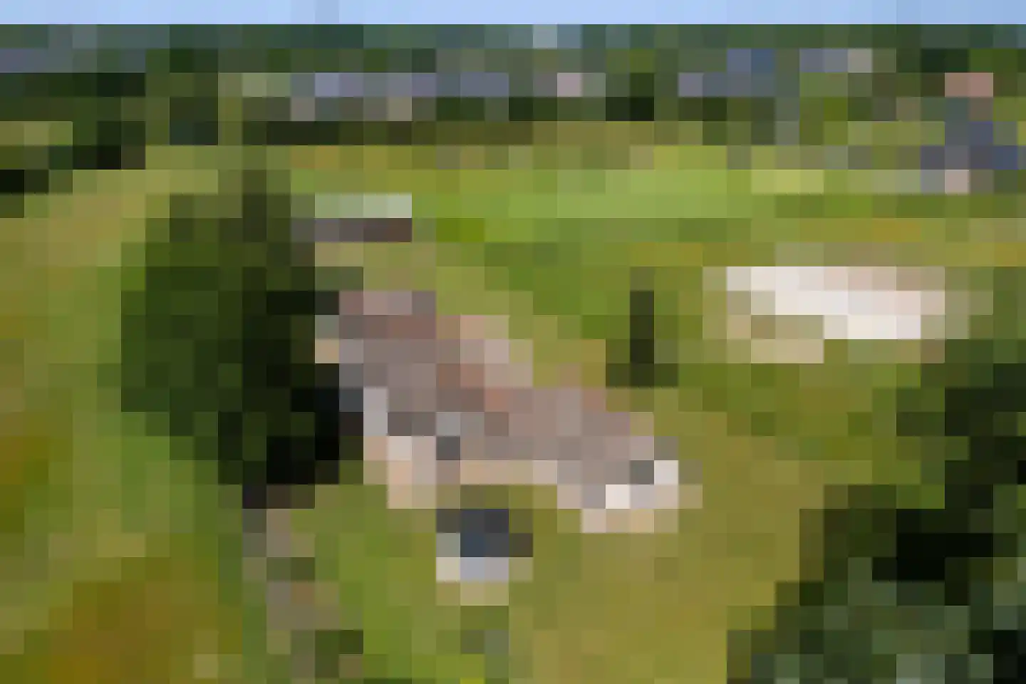 Fokko Kortlanglaan 121 Harderwijk thumbnail 62