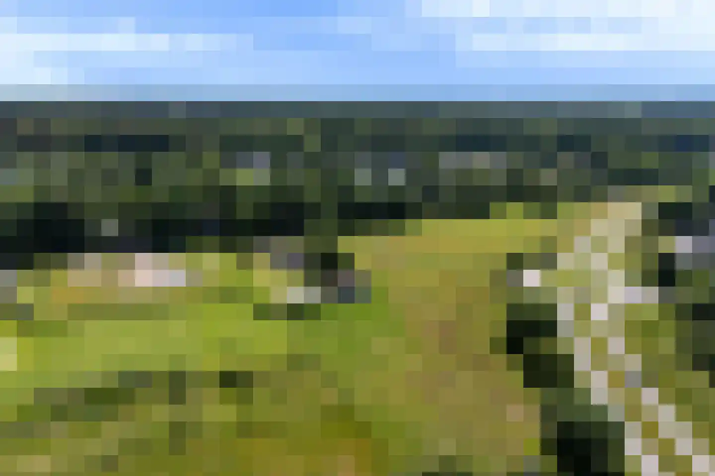 Fokko Kortlanglaan 121 Harderwijk thumbnail 63
