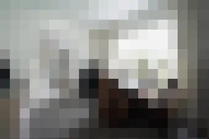 Fokko Kortlanglaan 126 Ermelo thumbnail 14
