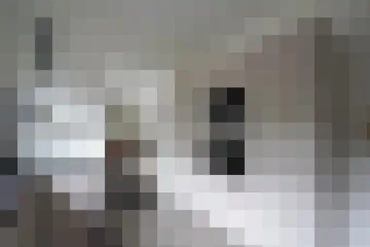 Fokko Kortlanglaan 126 Ermelo thumbnail 16