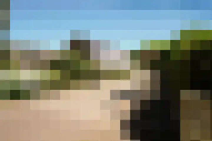 Fokko Kortlanglaan 126 Ermelo foto 2