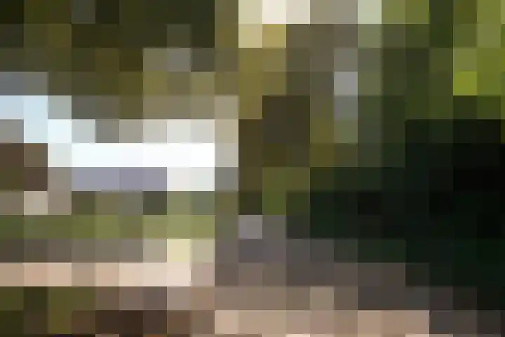 Fokko Kortlanglaan 126 Ermelo thumbnail 4