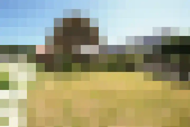 Fokko Kortlanglaan 126 Ermelo thumbnail 46