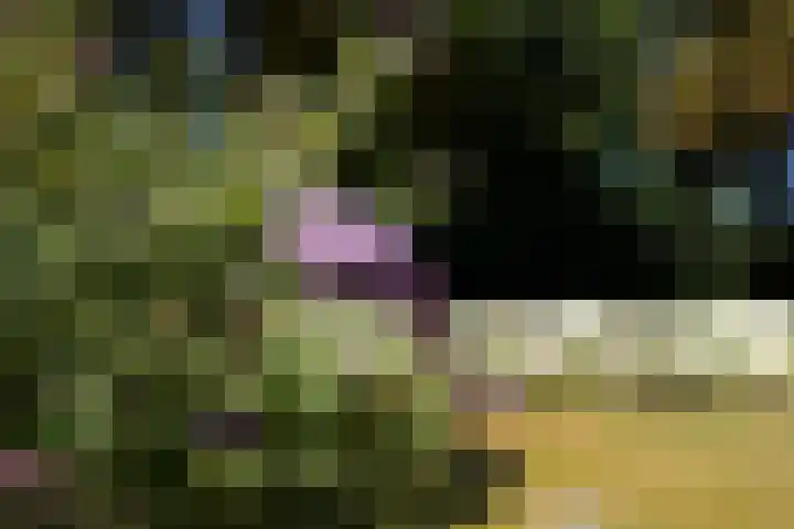 Fokko Kortlanglaan 126 Ermelo thumbnail 47