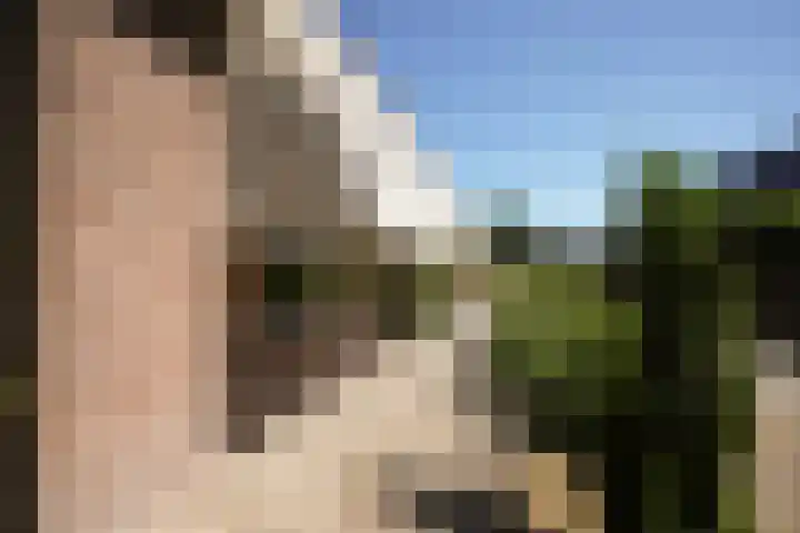 Fokko Kortlanglaan 126 Ermelo thumbnail 56