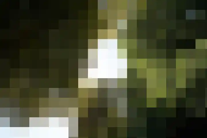 Fokko Kortlanglaan 126 Ermelo thumbnail 58