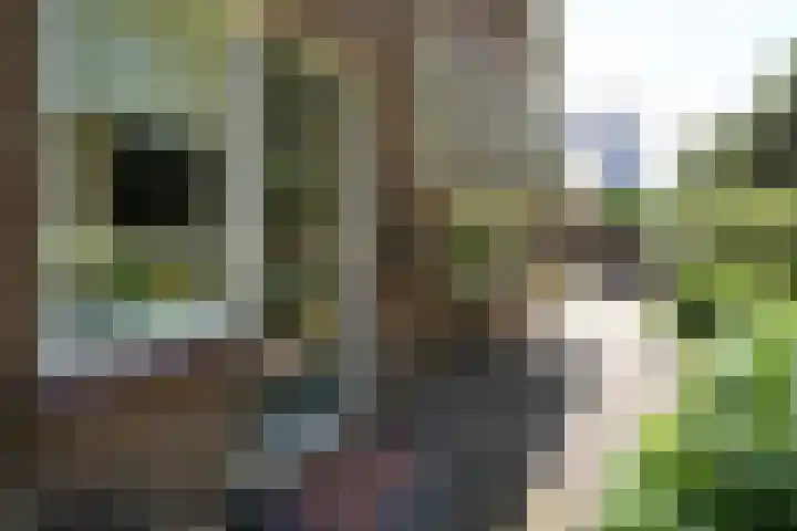 Fokko Kortlanglaan 126 Ermelo thumbnail 6