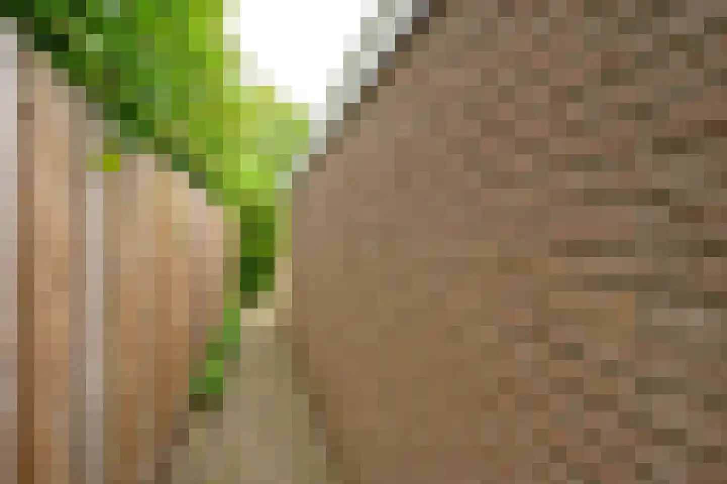 Foksdiep 5 Wieringerwerf thumbnail 34