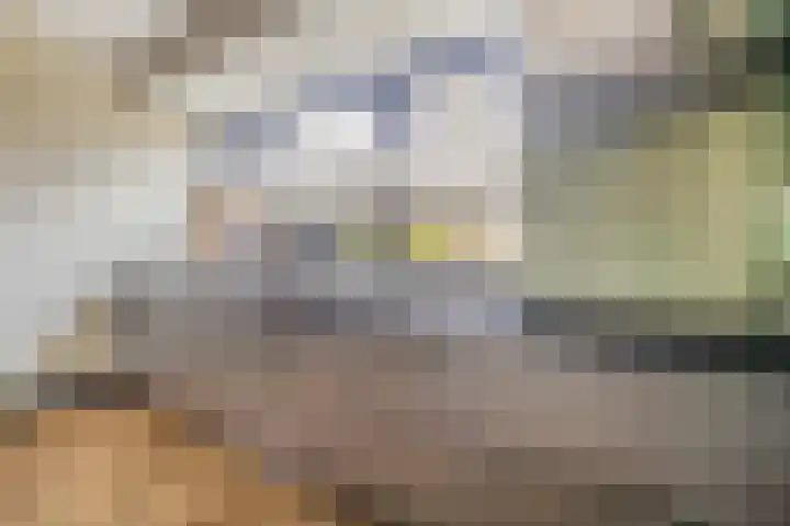 Folgeralaan 2 11 Drachten thumbnail 15