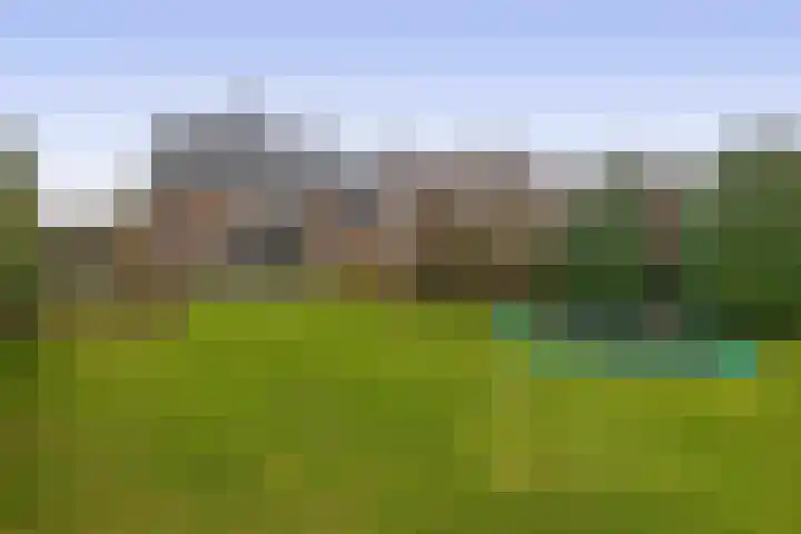 Folgeralaan 2 11 Drachten thumbnail 44