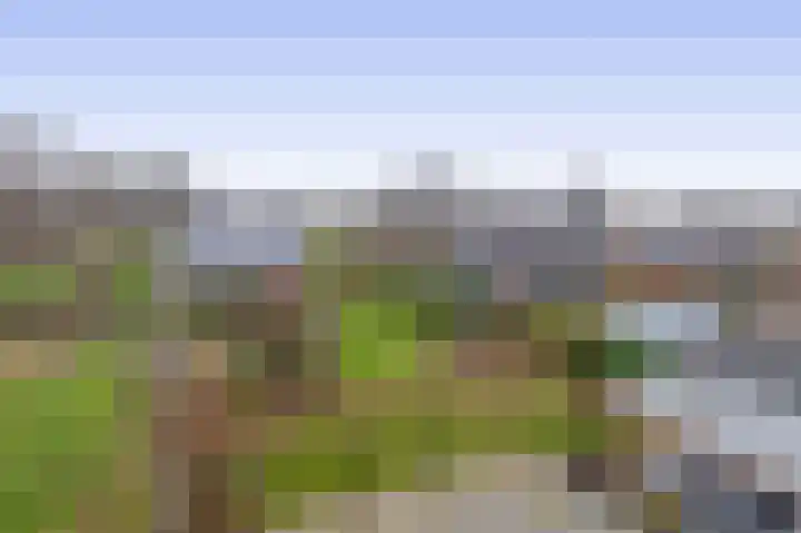 Folgeralaan 2 11 Drachten thumbnail 50