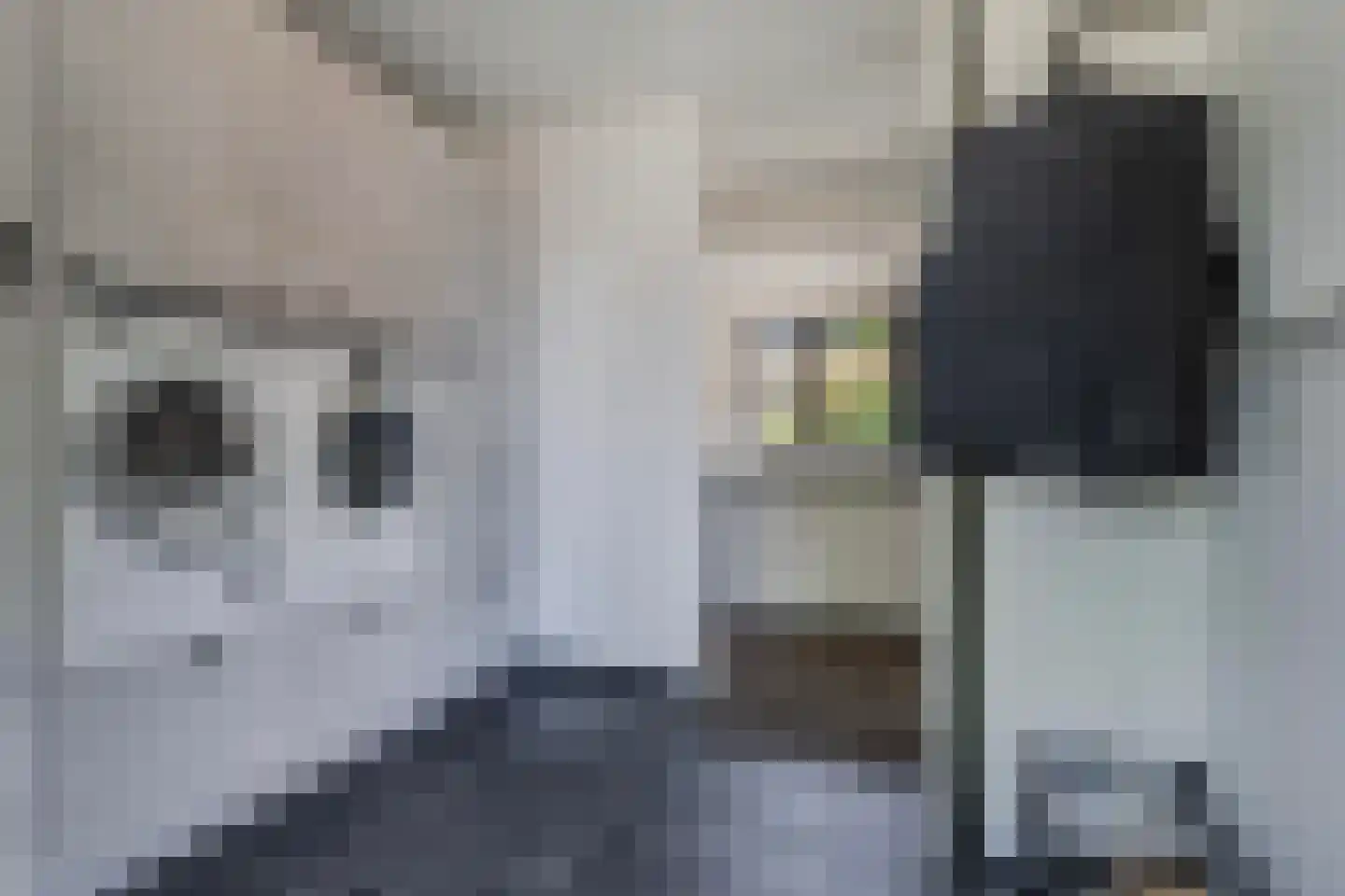Folgeralaan 2 5 Drachten thumbnail 21