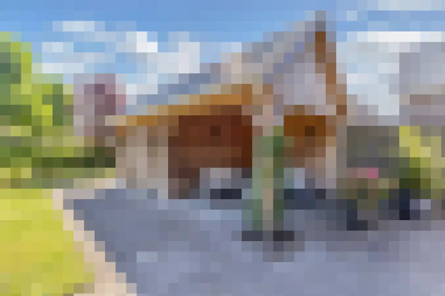 Folgeralaan 2 5 Drachten thumbnail 37