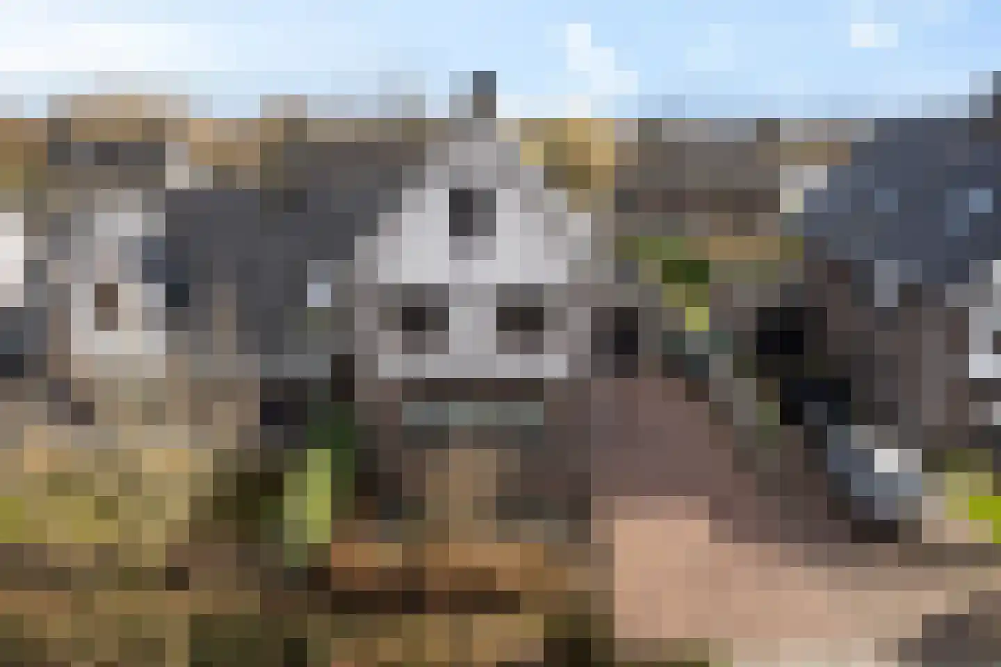 Folgeralaan 2 7 Drachten thumbnail 47