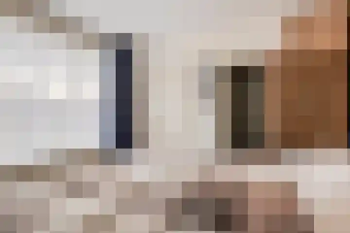 Folgeralaan 23 a Drachten thumbnail 30
