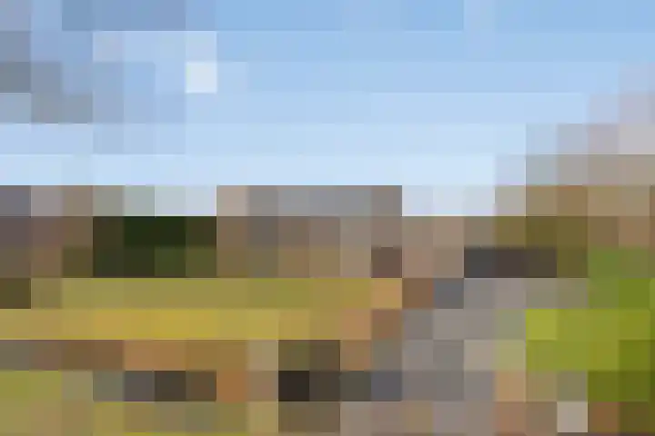 Folgeralaan 23 a Drachten thumbnail 4
