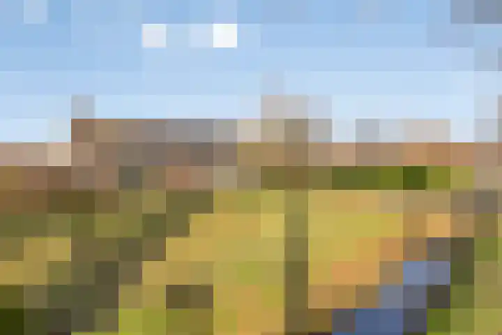 Folgeralaan 23 a Drachten thumbnail 7