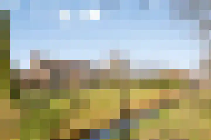 Folgeralaan 23 a Drachten thumbnail 9