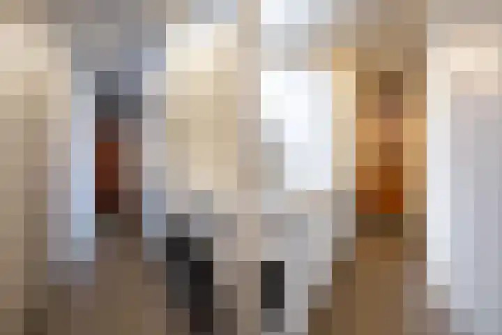 Folgeren 10 Drachten thumbnail 22