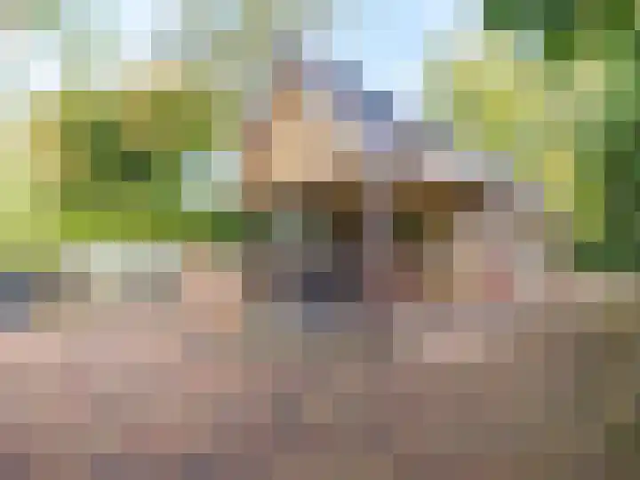 Folgeren 10 Drachten thumbnail 35