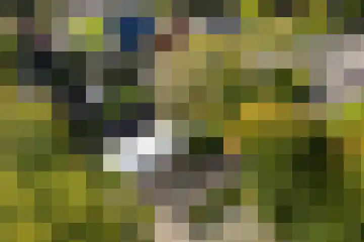Folgeren 10 Drachten thumbnail 4