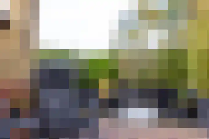 Folgeren 10 Drachten thumbnail 47