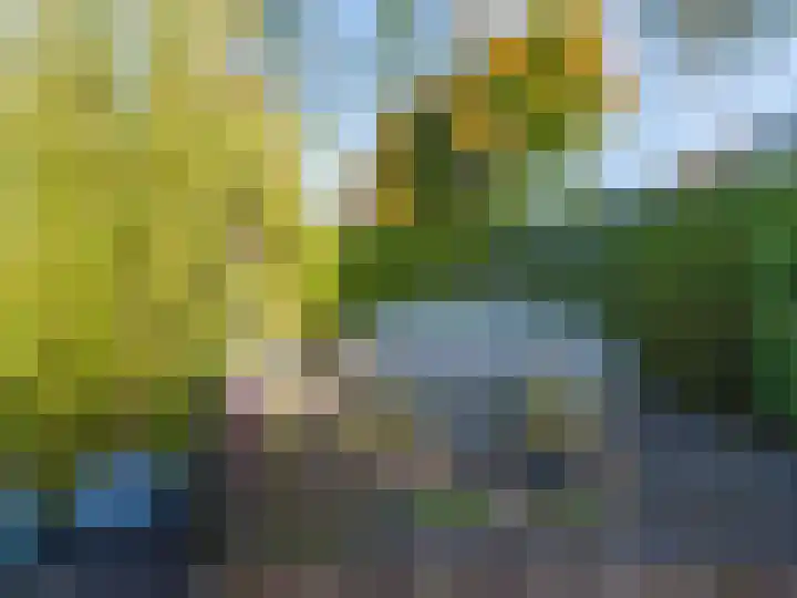 Folgeren 10 Drachten thumbnail 48