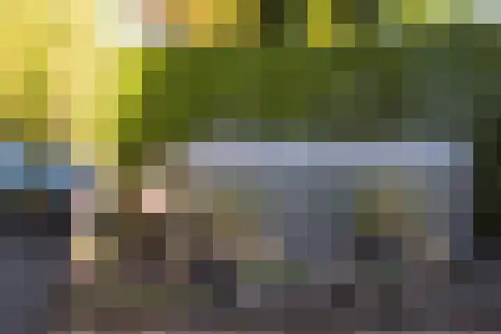 Folgeren 10 Drachten thumbnail 49