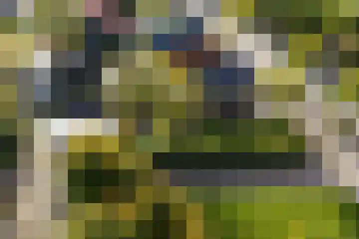 Folgeren 10 Drachten thumbnail 5