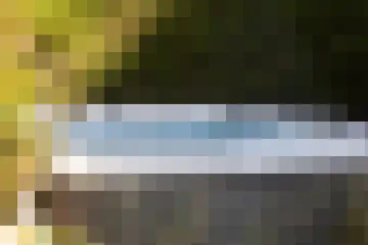Folgeren 10 Drachten thumbnail 50