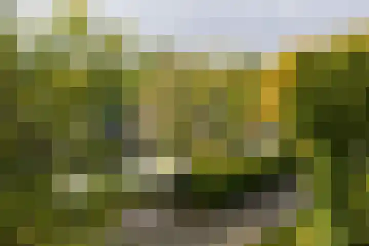 Folgeren 10 Drachten thumbnail 57