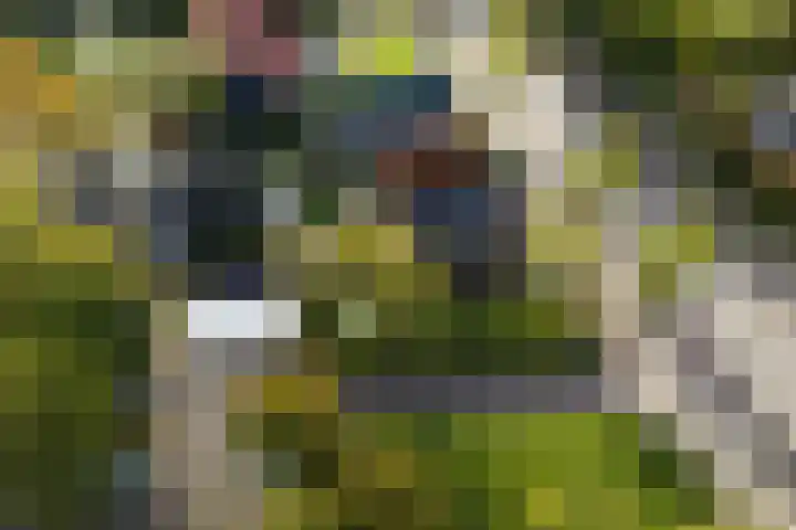 Folgeren 10 Drachten thumbnail 59