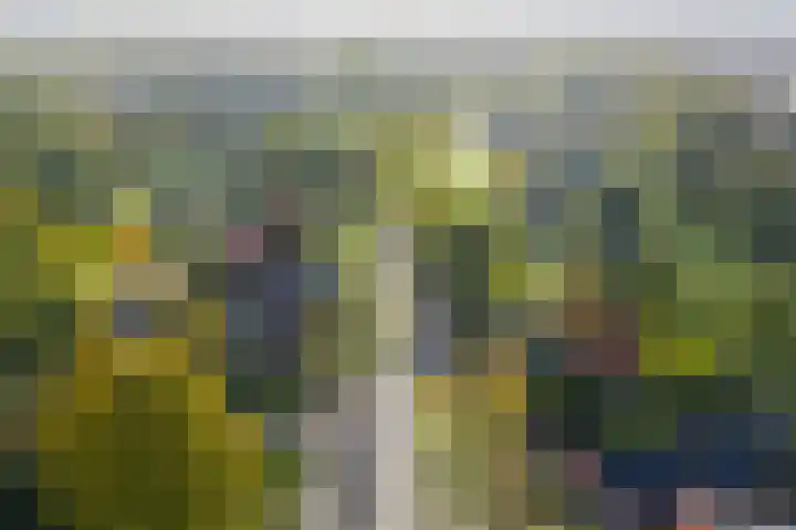 Folgeren 10 Drachten thumbnail 61