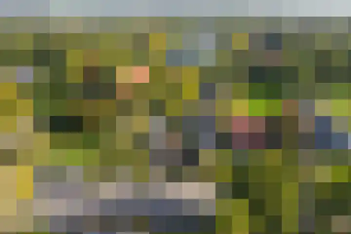 Folgeren 10 Drachten thumbnail 62