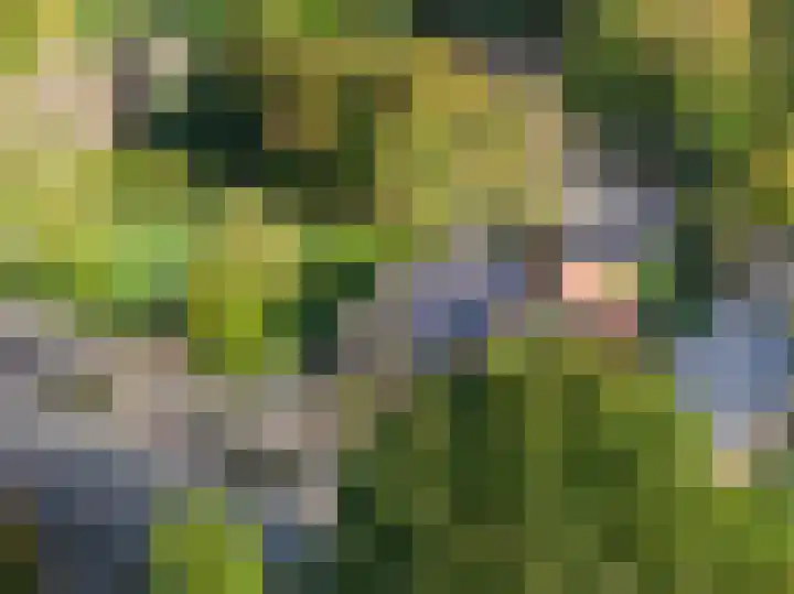 Folgeren 10 Drachten thumbnail 63