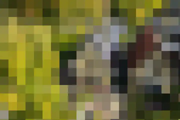 Folgeren 10 Drachten thumbnail 64