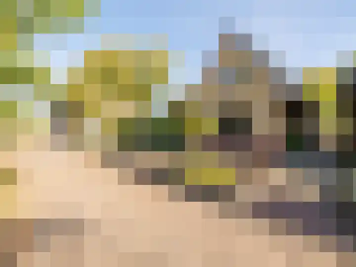 Folgeren 10 Drachten thumbnail 65