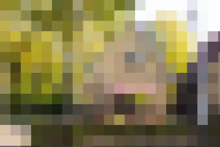 Folgeren 10 Drachten thumbnail 7