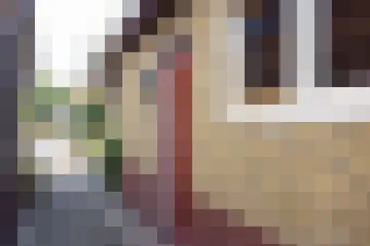 Folgeren 10 Drachten thumbnail 8