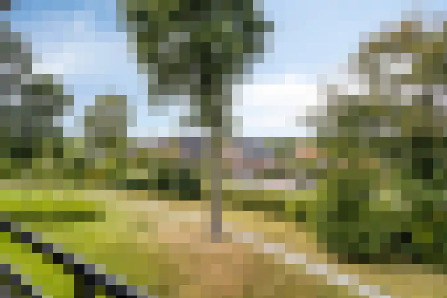 Folgeren 14 31 Drachten thumbnail 28