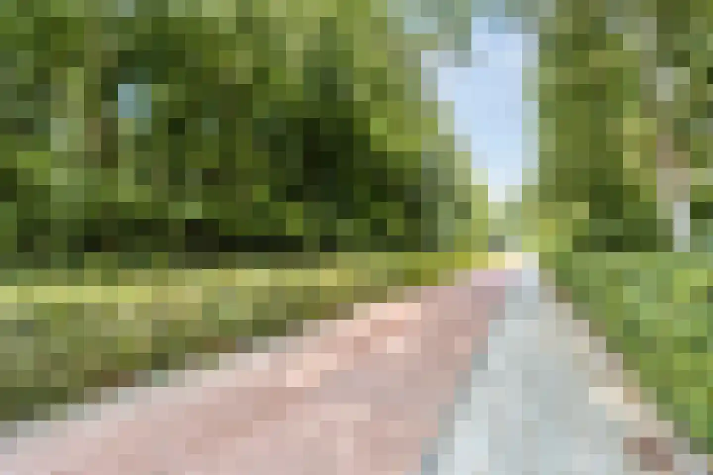 Folgeren 14 31 Drachten thumbnail 57