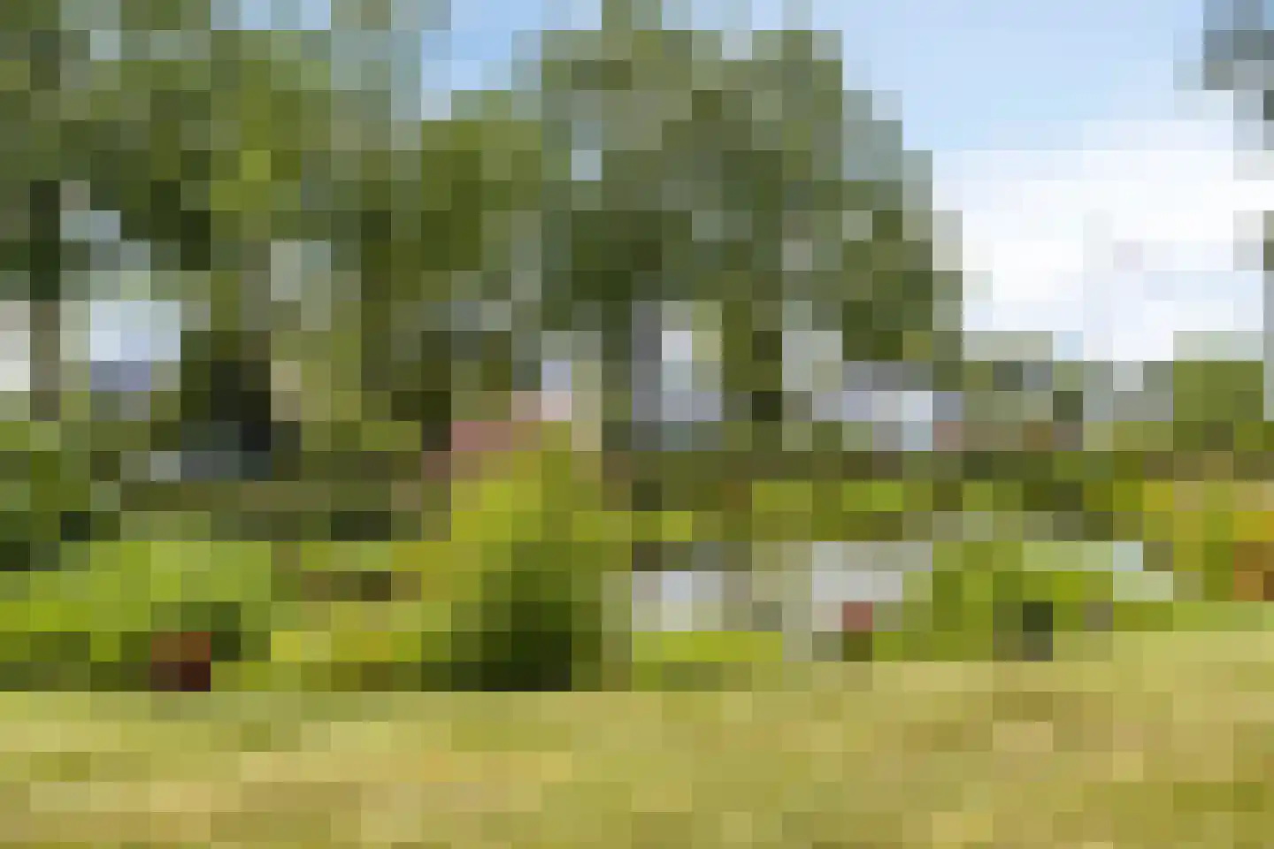 Folgeren 14 31 Drachten thumbnail 61