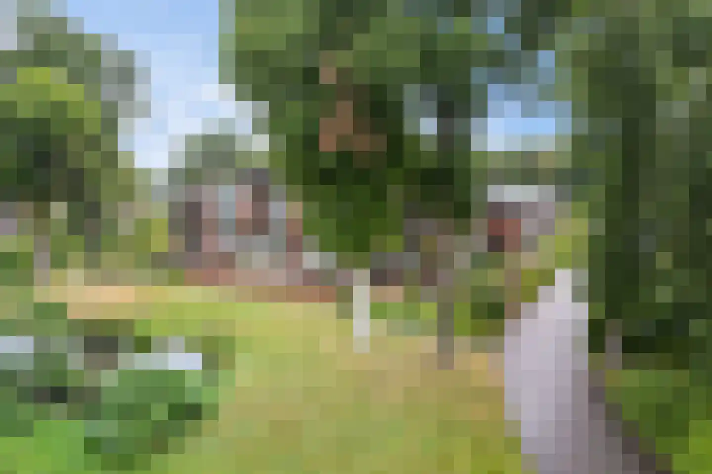 Folgeren 14 6 Drachten thumbnail 37