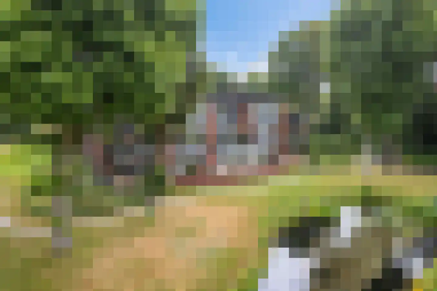 Folgeren 14 6 Drachten thumbnail 38